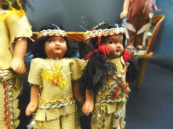 6 native lot 2 c
